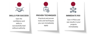 Skills for Success, Proven Techniques, Immediate ROI Icons